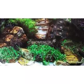 Фон Дерево/Трава 60 см