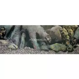 Фон для аквариума Камни/Галька 30 см