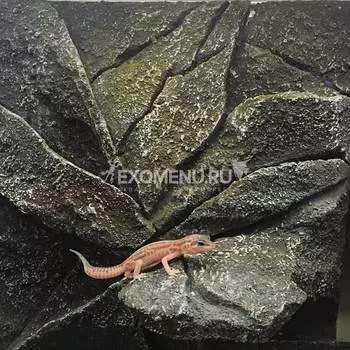 Фон для террариума 30х30х5 см, объемный ручной работы