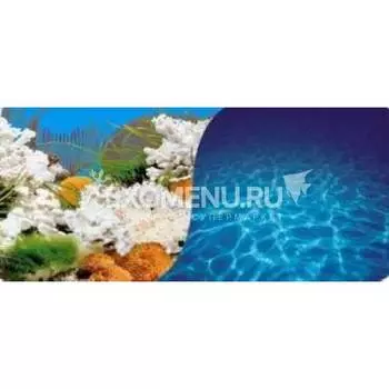 Фон двухсторонний. Кораллы голубой - Солнечные блики синий (50)