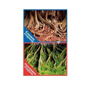 Фон двухсторонний с одной самоклеящейся стороной Корни с мохом/Корни с листьями 50x100см 8009+/8010