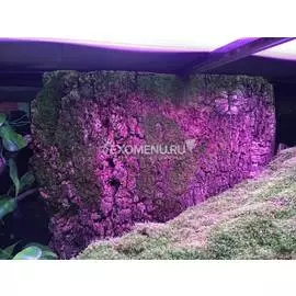 Фон из коры пробкового дерева, 60х90 см