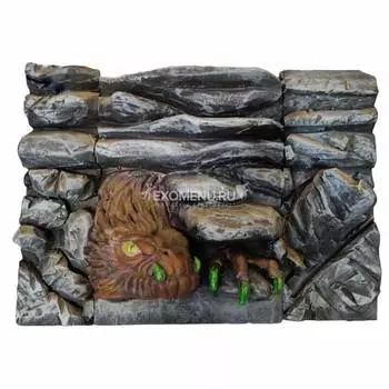 Фон террариумный "Дракон", 58*42 см