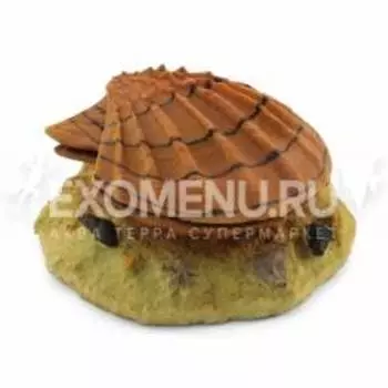 Грот 249KA аэрационный "Раковина с жемчужиной", 145*130*65мм