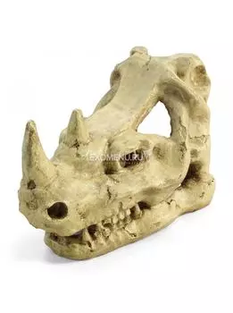 Грот 2802LD "Череп носорога", 180*105*120мм