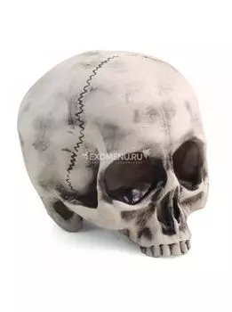 Грот 2808LD "Капитан Флинт", 108*108*118мм