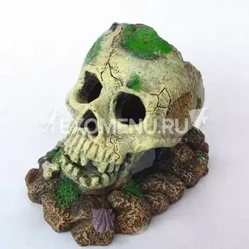 Грот "Череп", 12*9*10 см