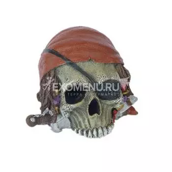 Грот "Череп пирата", 10*9*7 см