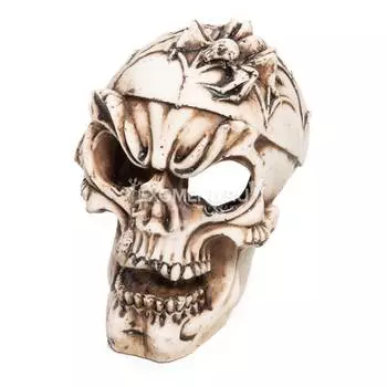 Грот "Череп с пауком", 105*80*97мм, Laguna