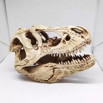 Грот для аквариума "Череп динозавра" 14*7.5*9 см