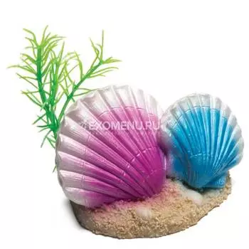 Грот "Ракушки каури" 90*63*53мм, Laguna