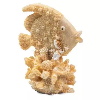 Грот "Рыба-ангел", S, 70*50*83мм