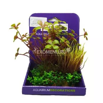 Искусственное растение 15 см, в картонной коробке