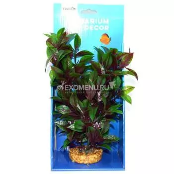 Искусственное растение "Альтернантера" на подложке 25 см