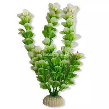 Искусственное растение "Амбулия" 20 см