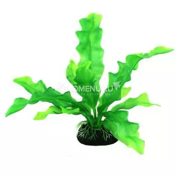 Искусственное растение "Апоногетон ульвовидный" 25 см