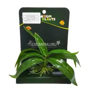 Искусственное растение "Эхинодорус оцелот" 15 см