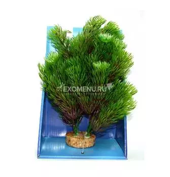 Искусственное растение "Ротала" на подложке 20 см