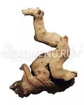 JBL Mopani Wurzel "L" - Коряга натуральная "Mopani" размером 30-40 см.