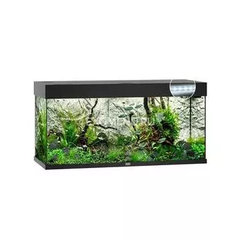 Juwel RIO 240 LED аквариум 240л черный (Black) 121х41х55см 2х29W Фильтр Bioflow M, Нагр200W, , шт