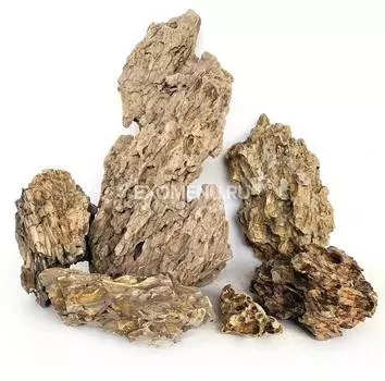 Камень GLOXY "Дракон", цена за кг