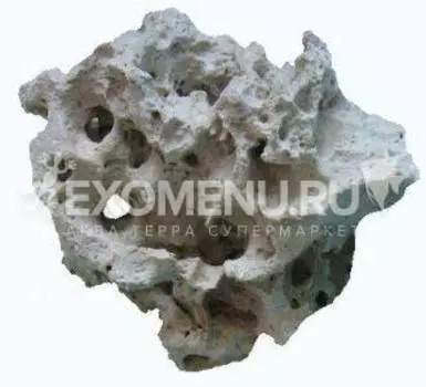 Кенийский камень белый (10-40 см), 1 кг