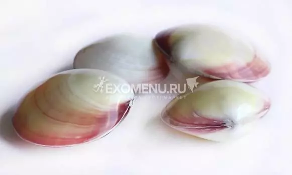 Кодакия Тигерина полированная