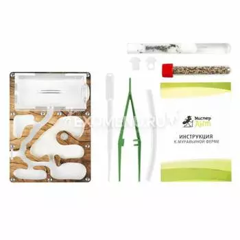 Комплект муравьиной фермы Smart "Дерево"