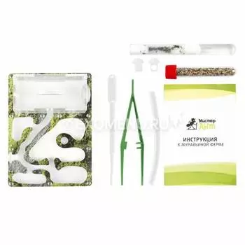 Комплект муравьиной фермы Smart "Горный мох"