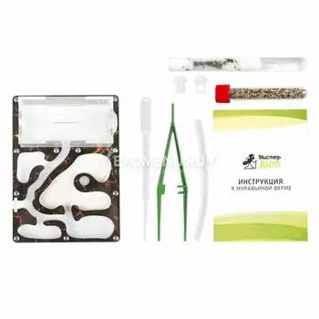 Комплект муравьиной фермы Smart "Кипящая лава"