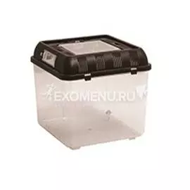 Контейнер для содержания и разведения рептилий RT2001b, 200*200*170мм, Repti-Zoo