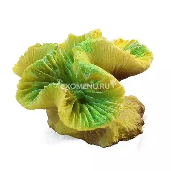 Коралл искусственный 2902LD "Каталофиллия" зеленая, 80*70*50мм