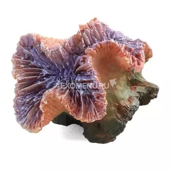 Коралл искусственный 2905LD "Каталофиллия" фиолетовая, 80*70*70мм
