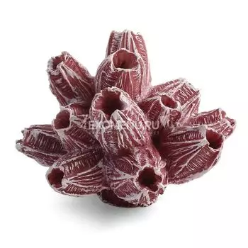 Коралл искусственный 2908LD "Балянус", 50*40*40мм