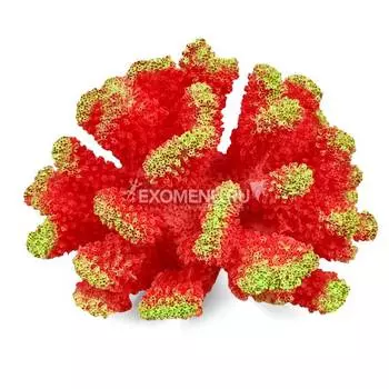 Коралл искусственный "Стилофора", красный, 120*110*75мм