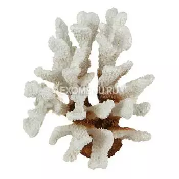 Коралл пластиковый белый 14,5х7,2х12,5см (SH9201W)