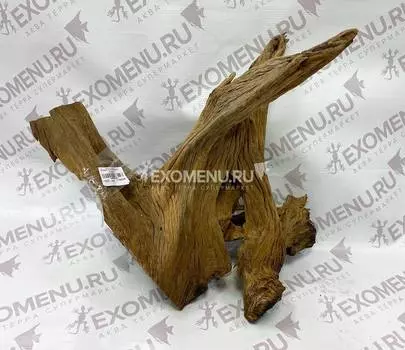 Корень каштановый L, 60-80 см