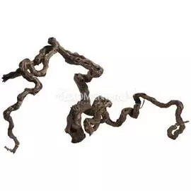Коряга комель виноградной лозы L (очищенная)