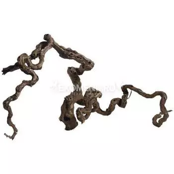 Коряга комель виноградной лозы, S (20-40 см)