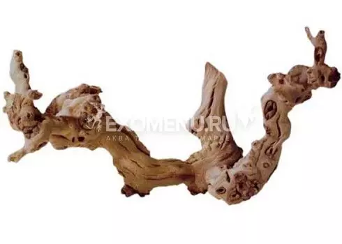 Коряга комель виноградной лозы, XXL (от 100 см)
