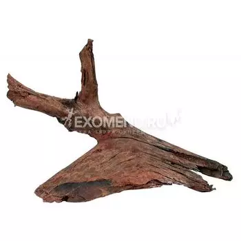 Коряга MANGRO M