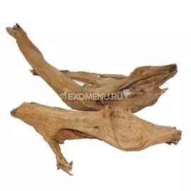 Коряга мангровая, размер XL (58-66 см.)