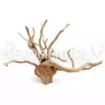 Коряга "Паучий корень" 21-30 см.