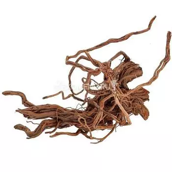 Коряга PRIME Чечил, цена за кг