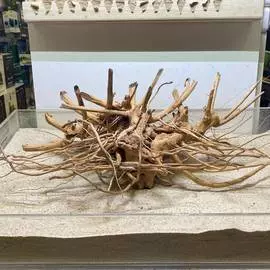 Коряга PRIME Сакура S 20-30см, цена за кг