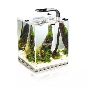 Креветкарий AQUAEL SHRIMP SET SMART PLANT II 30 черный, (30х30х35) укомплектован светодиодным светильником,фильтром, обогревателем