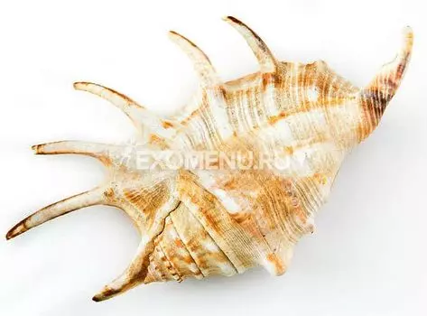 Ламбис-Ламбис 4