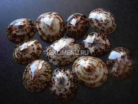 Лемпит полированный