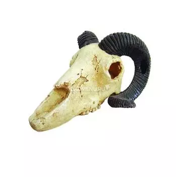 LUCKY REPTILE Декорация для террариума, череп "Skull Ram", 19.5х7х12см (Германия)