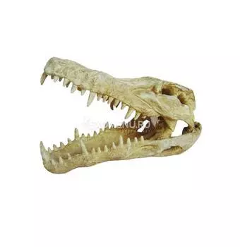 LUCKY REPTILE Декорация для террариумов, череп "Skull Krokodil", 25x11.2x15.2см (Германия)